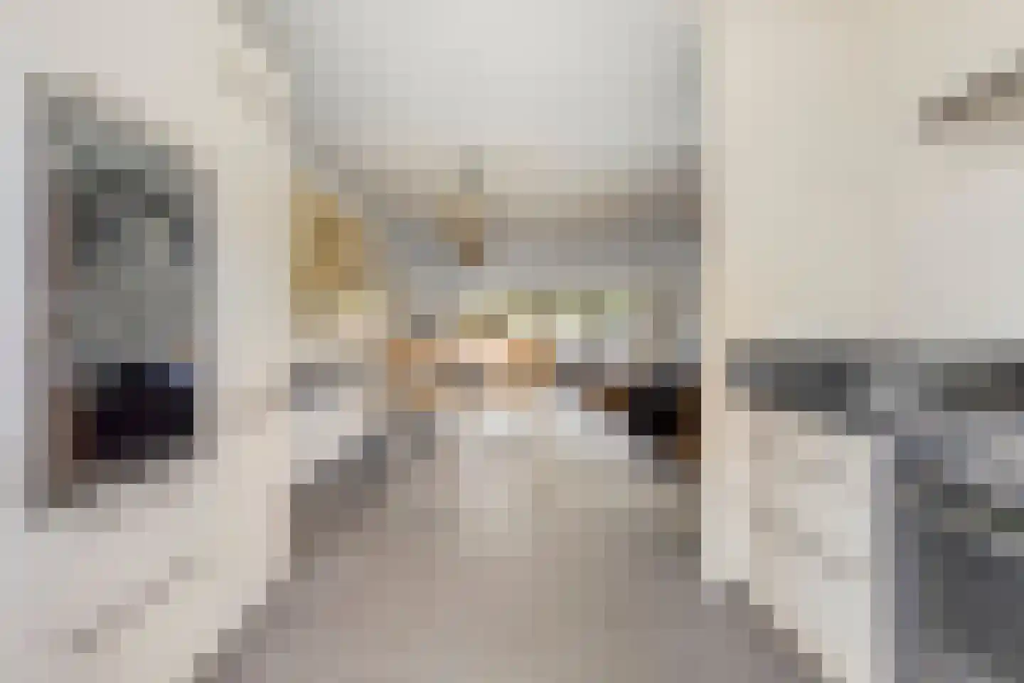 Kantonnier 9 Elst thumbnail 25
