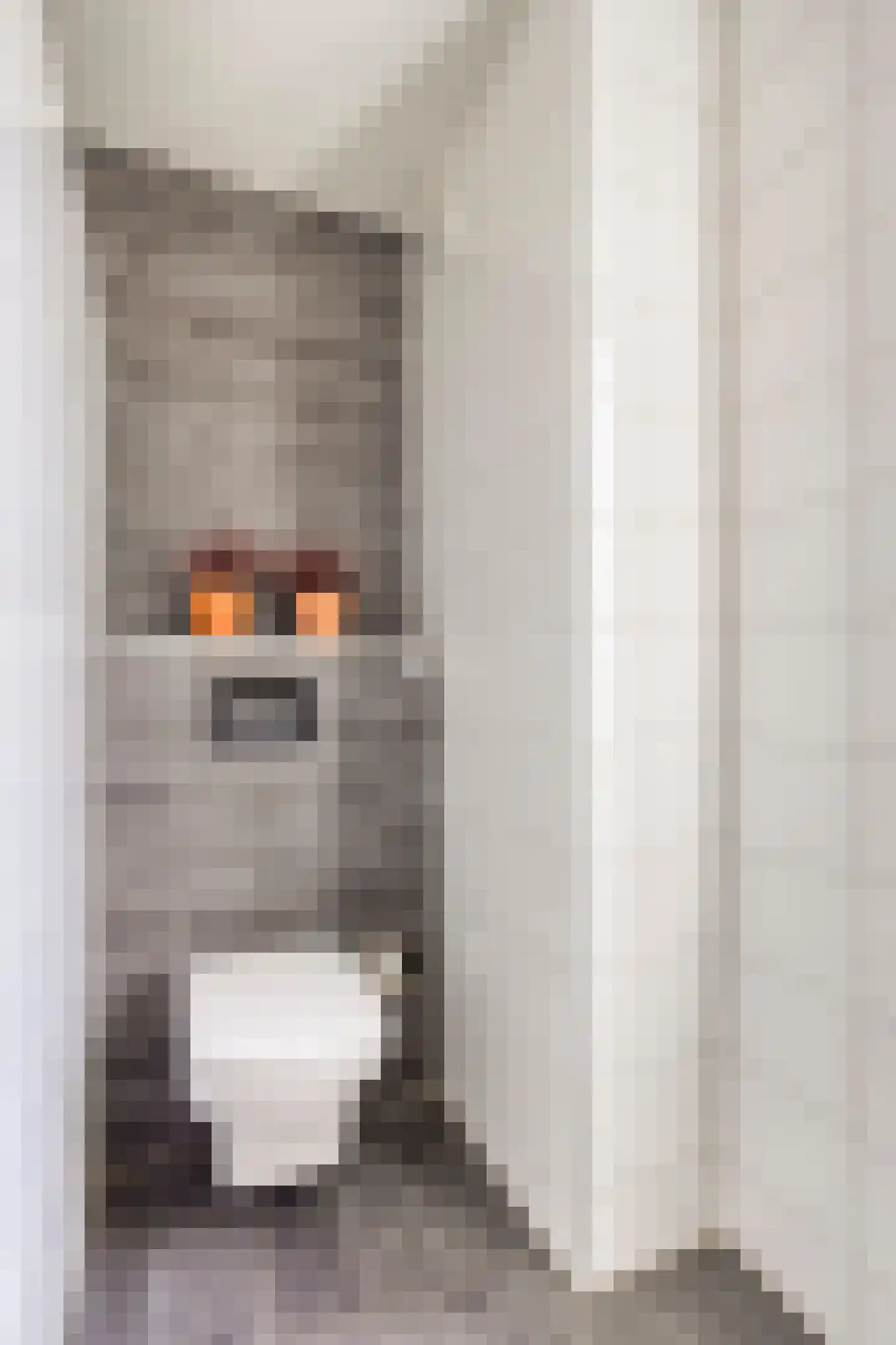 Kantonnier 9 Elst thumbnail 32