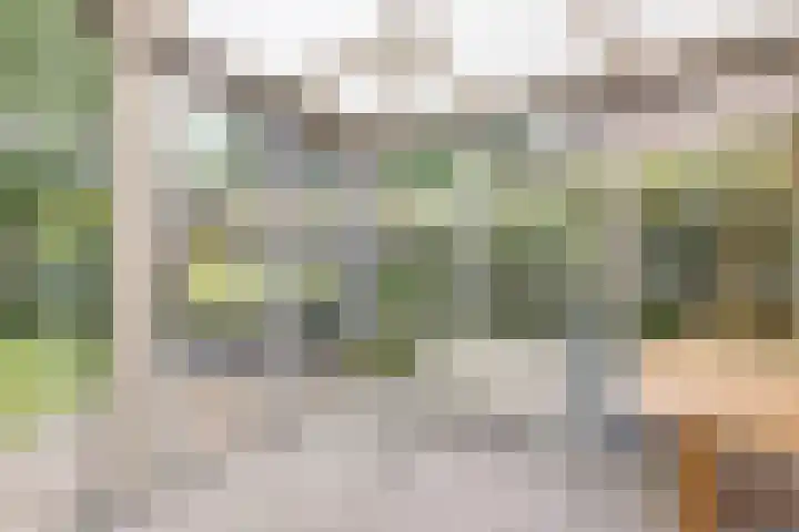 Kantwerkerwei 19 Valkenswaard thumbnail 8