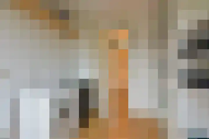 Kapberg 25 Wognum thumbnail 17