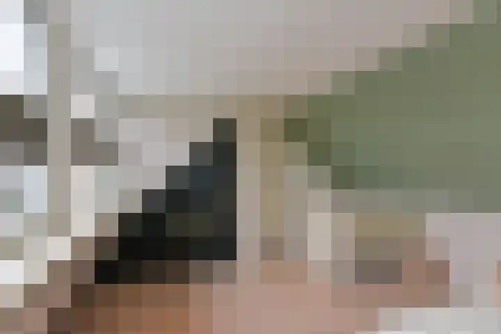 Kapberg 25 Wognum thumbnail 21