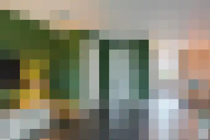 Kapberg 25 Wognum thumbnail 8