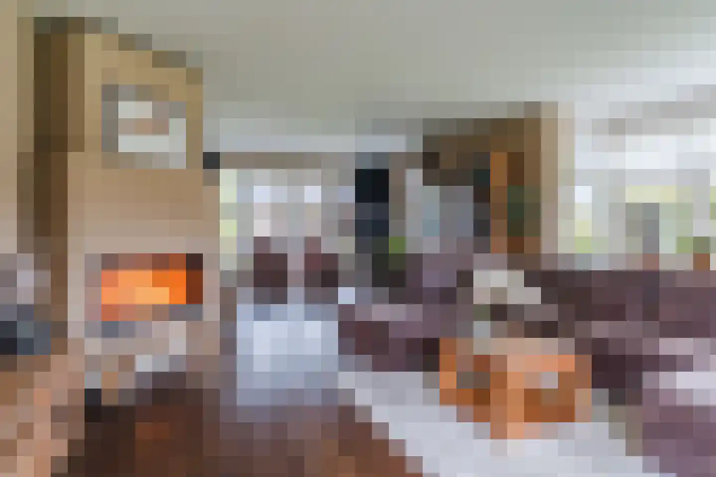 Kapelledries 2 a Bergeijk thumbnail 12