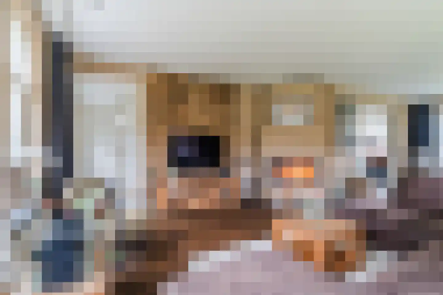 Kapelledries 2 a Bergeijk thumbnail 13