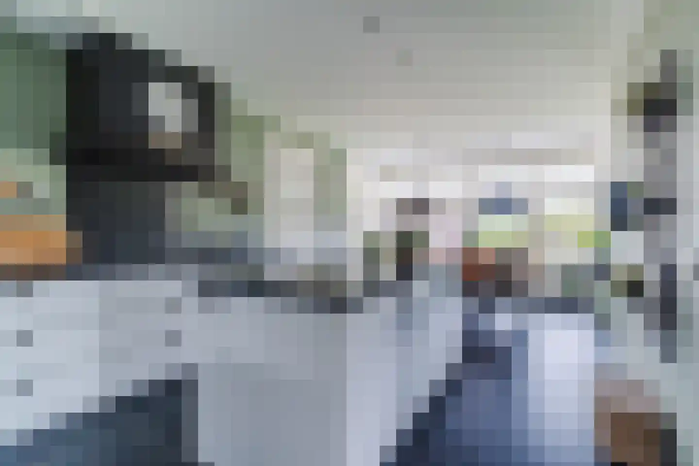 Kapelledries 2 a Bergeijk thumbnail 21