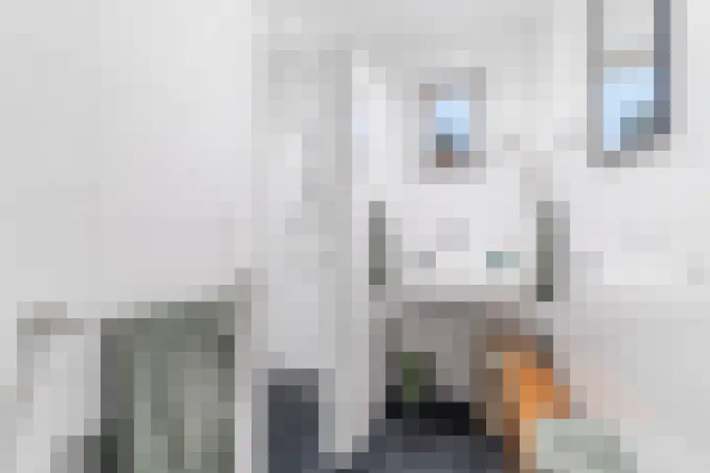 Kapelledries 2 a Bergeijk thumbnail 33