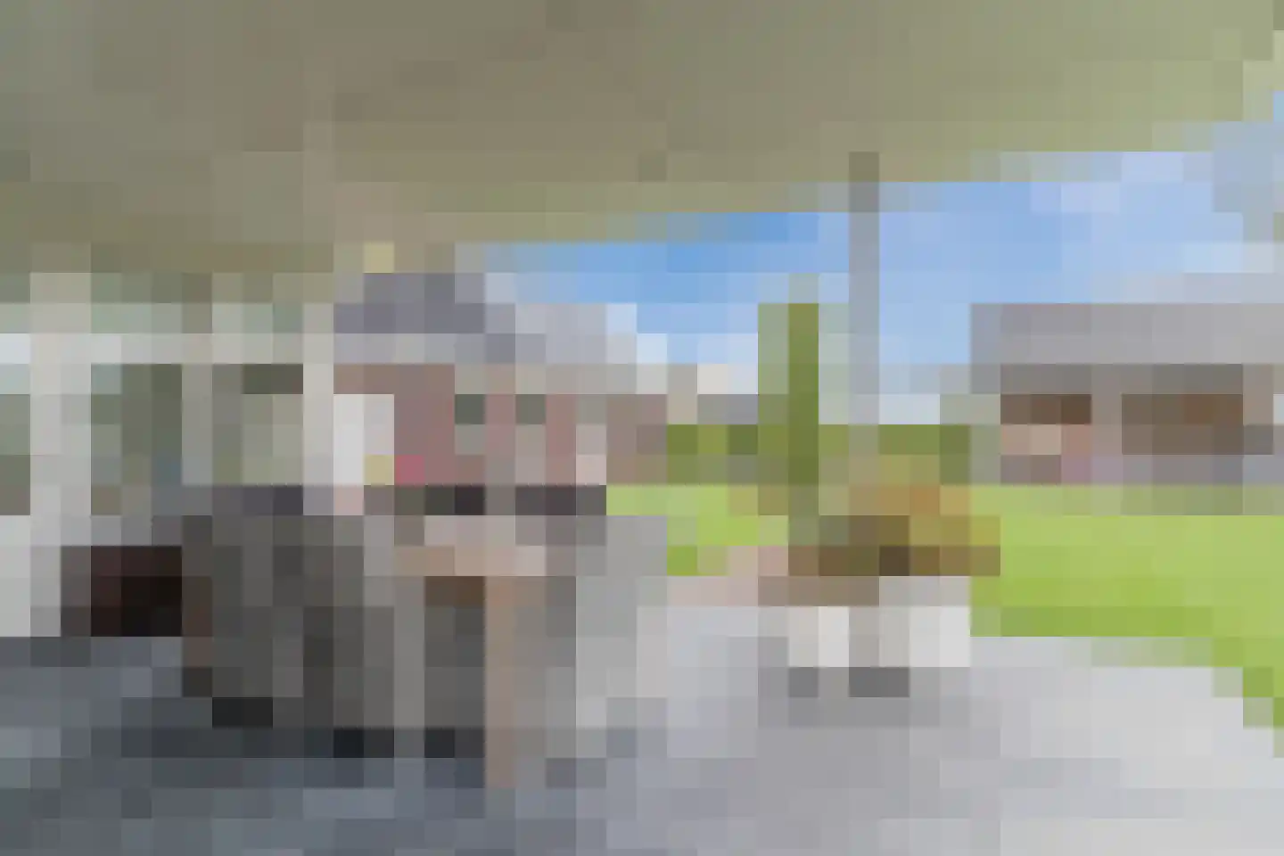 Kapelledries 2 a Bergeijk thumbnail 53