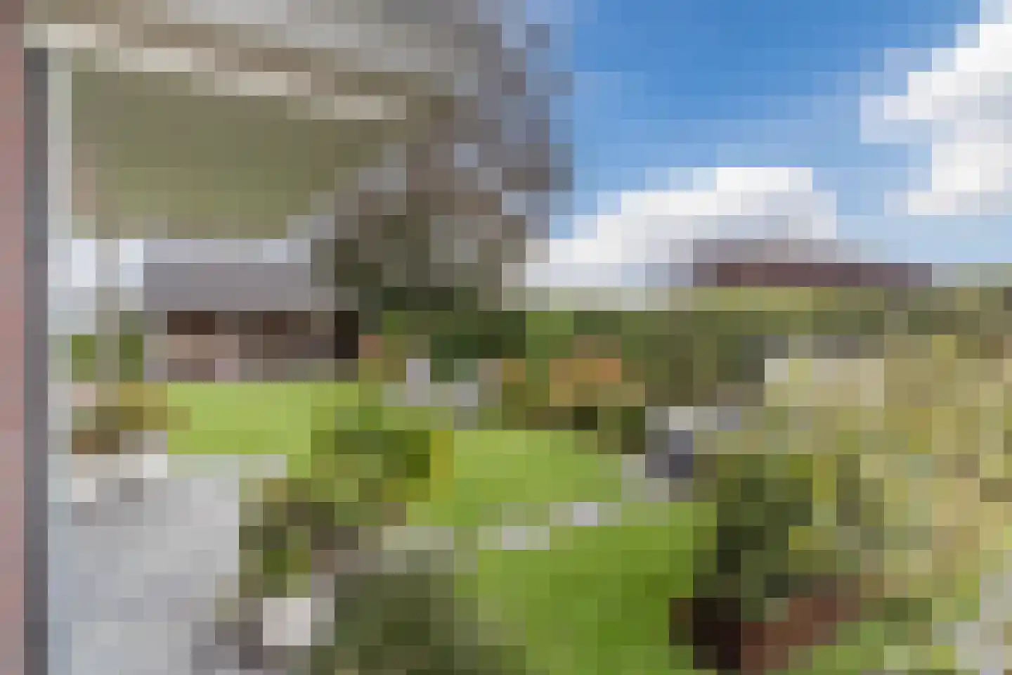Kapelledries 2 a Bergeijk thumbnail 62
