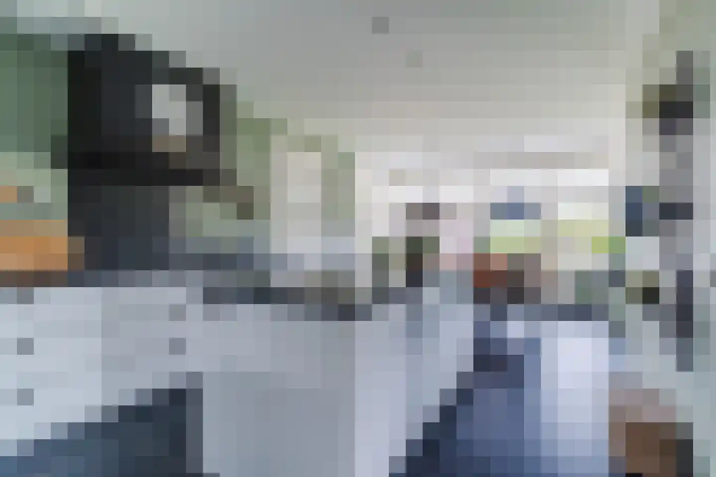 Kapelledries 2 a Bergeijk thumbnail 7