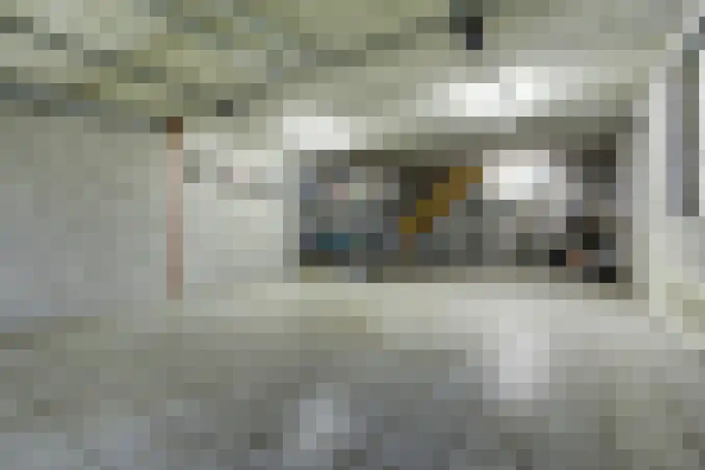 Kapelledries 2 a Bergeijk thumbnail 73