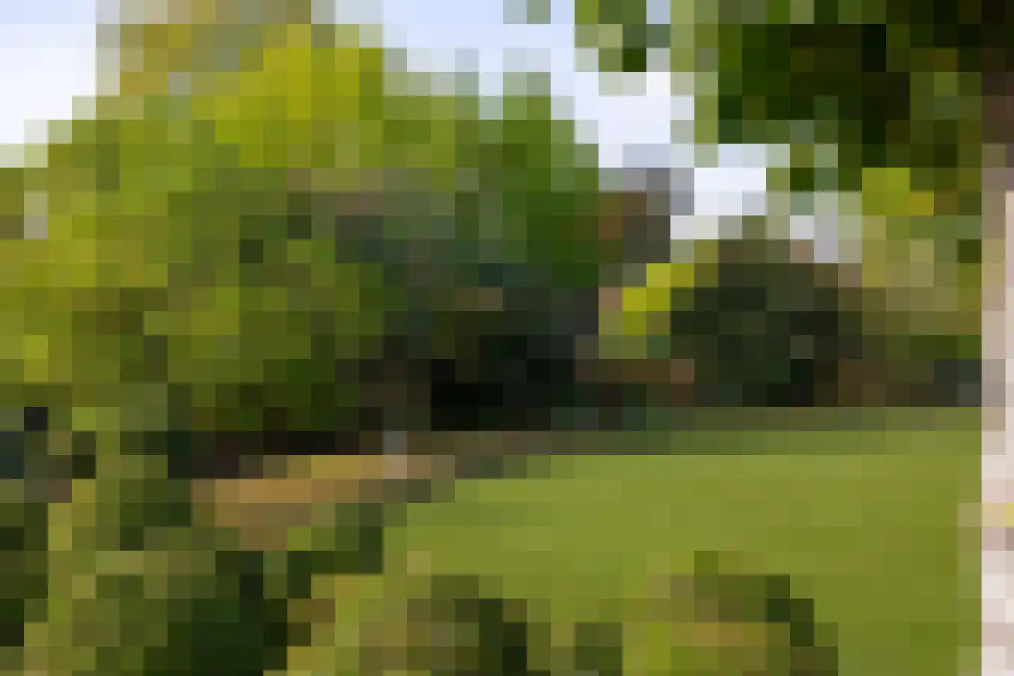 Kapelstraat 17 Gendt thumbnail 24