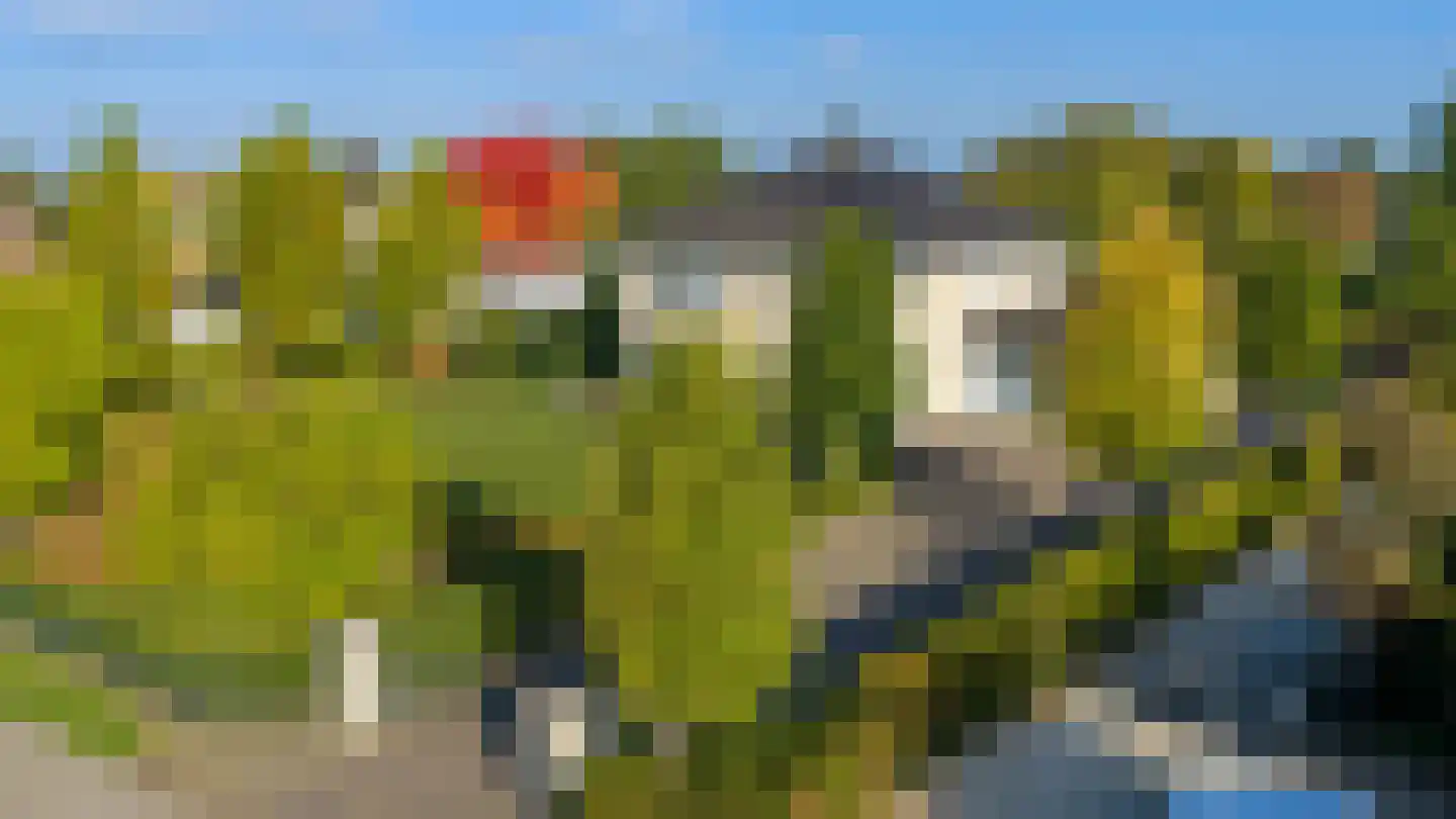 Kapelstraat 17 Gendt thumbnail 52