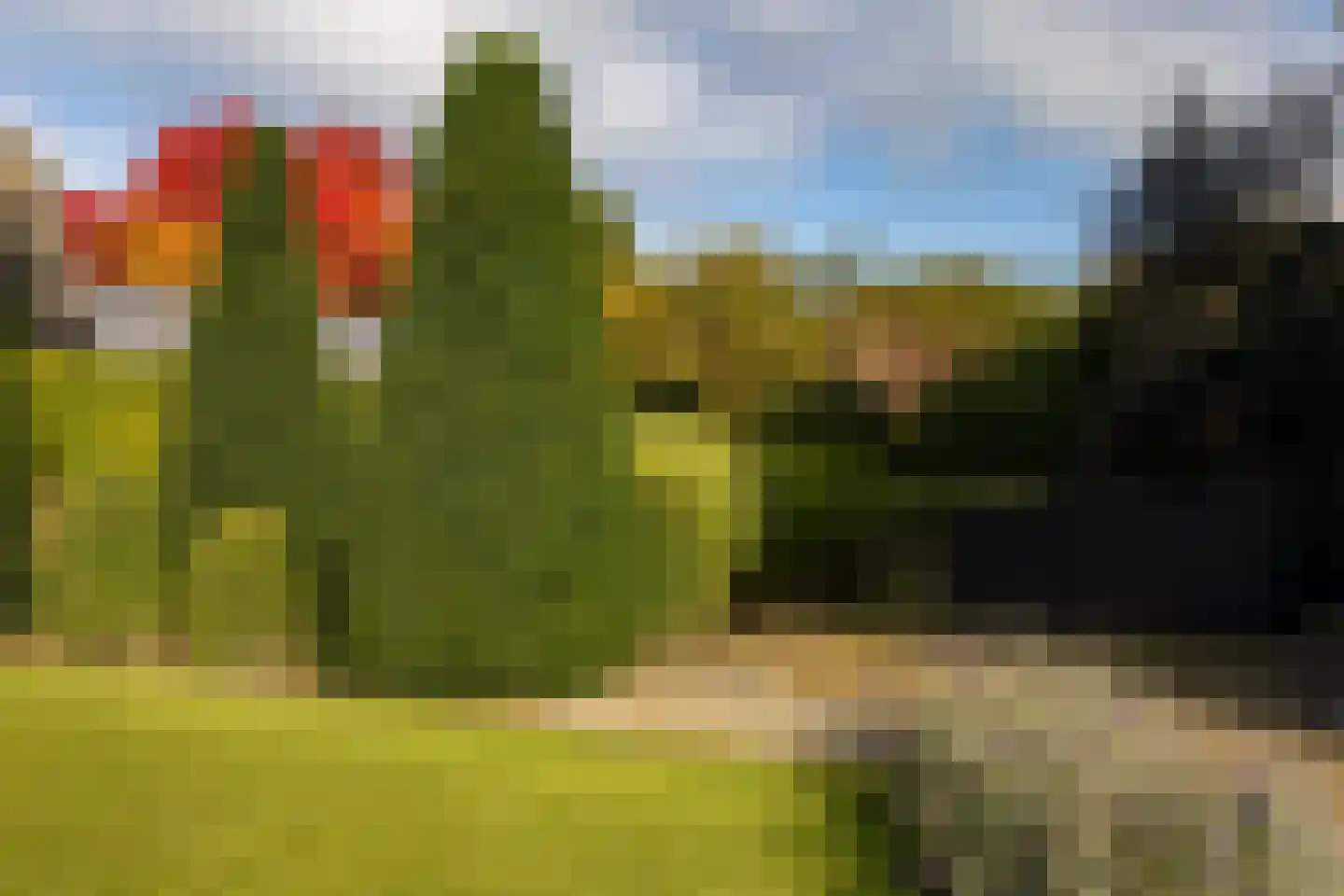 Kapelstraat 17 Gendt thumbnail 57