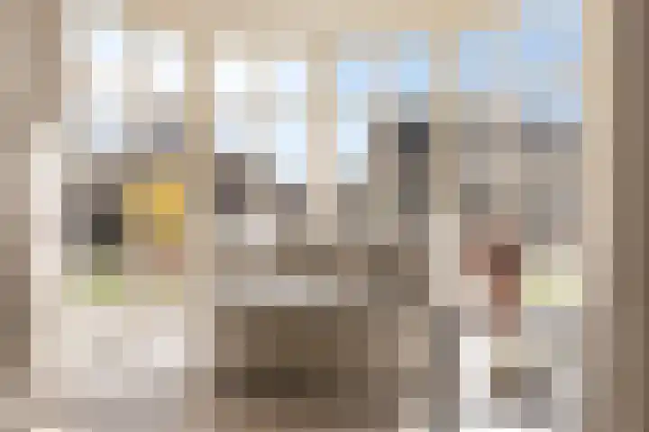 Kapelstraat 22 Didam thumbnail 10