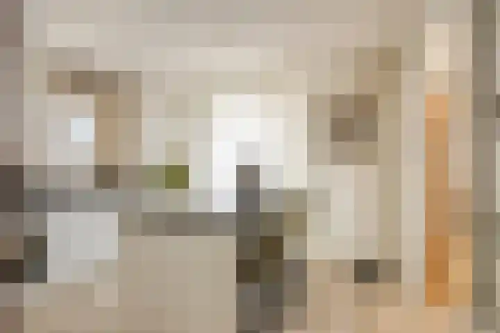 Kapelstraat 22 Didam thumbnail 12