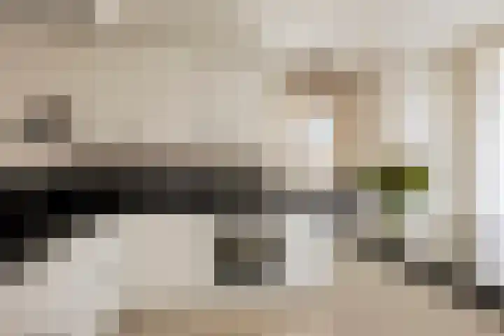Kapelstraat 22 Didam thumbnail 13