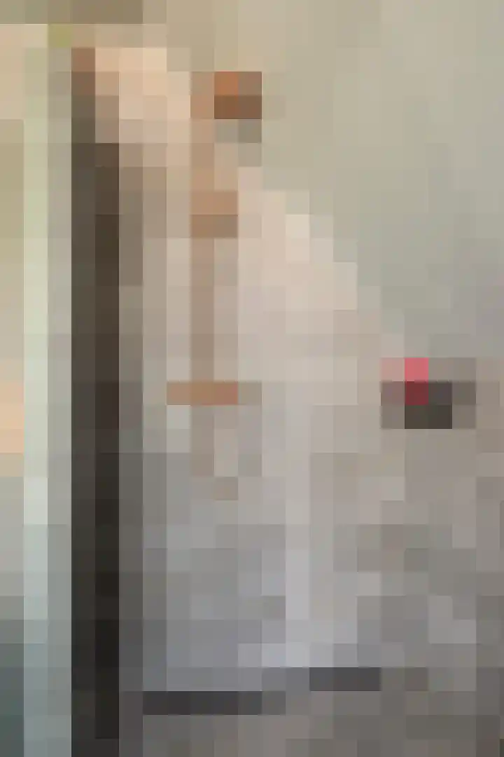 Kapelstraat 22 Didam thumbnail 28