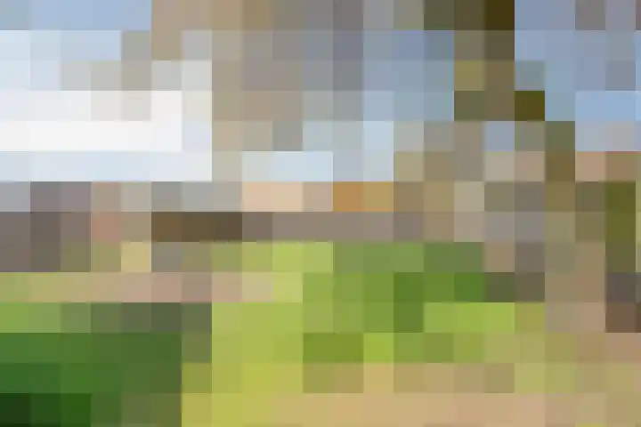 Kapelstraat 22 Didam thumbnail 42