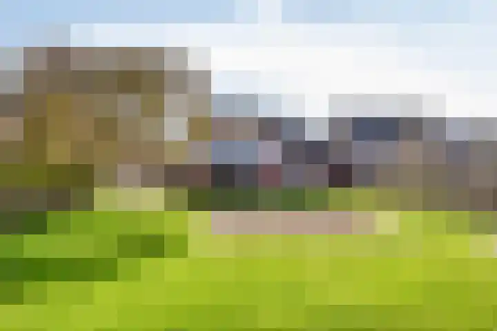 Kapelstraat 22 Didam thumbnail 44