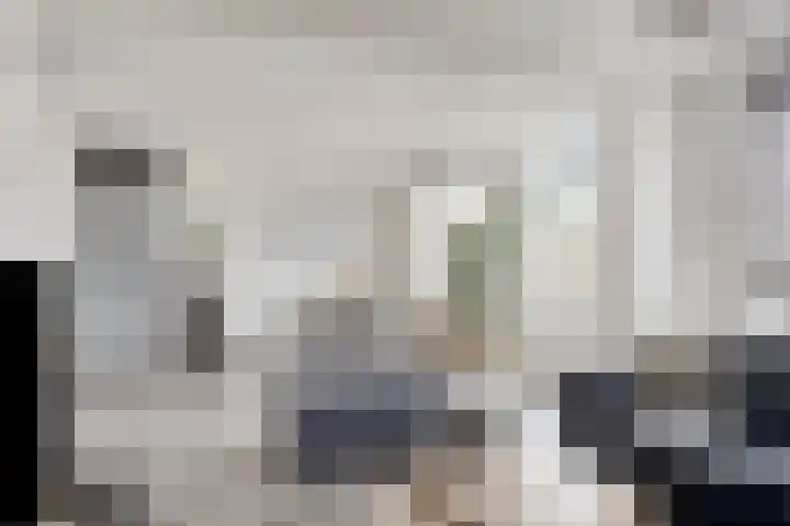 Kapelstraat 3 a Afferden L thumbnail 11
