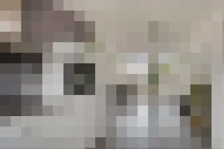Kapelstraat 3 a Afferden L thumbnail 16