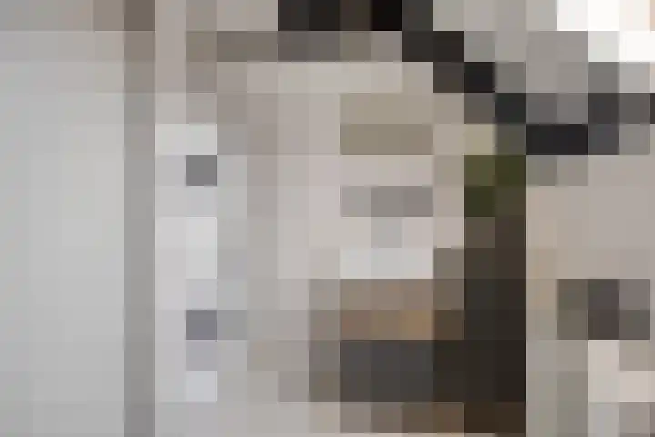 Kapelstraat 3 a Afferden L thumbnail 25
