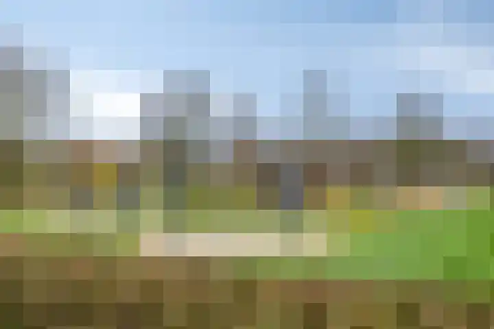Kapelstraat 3 a Afferden L thumbnail 36