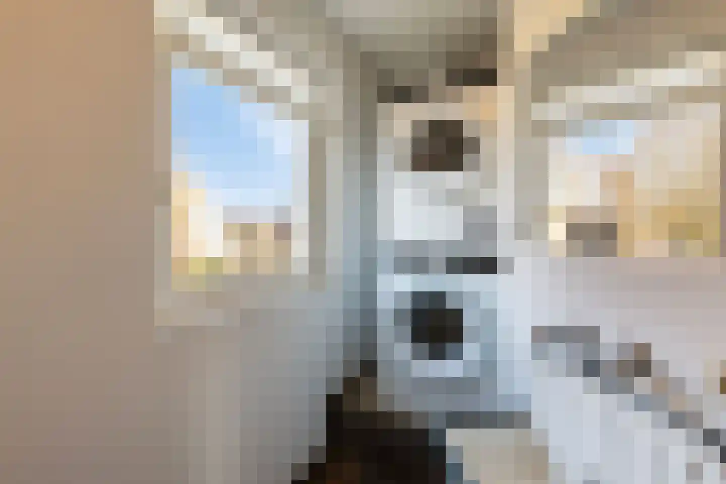 Kapelstraat 3 Geffen thumbnail 23