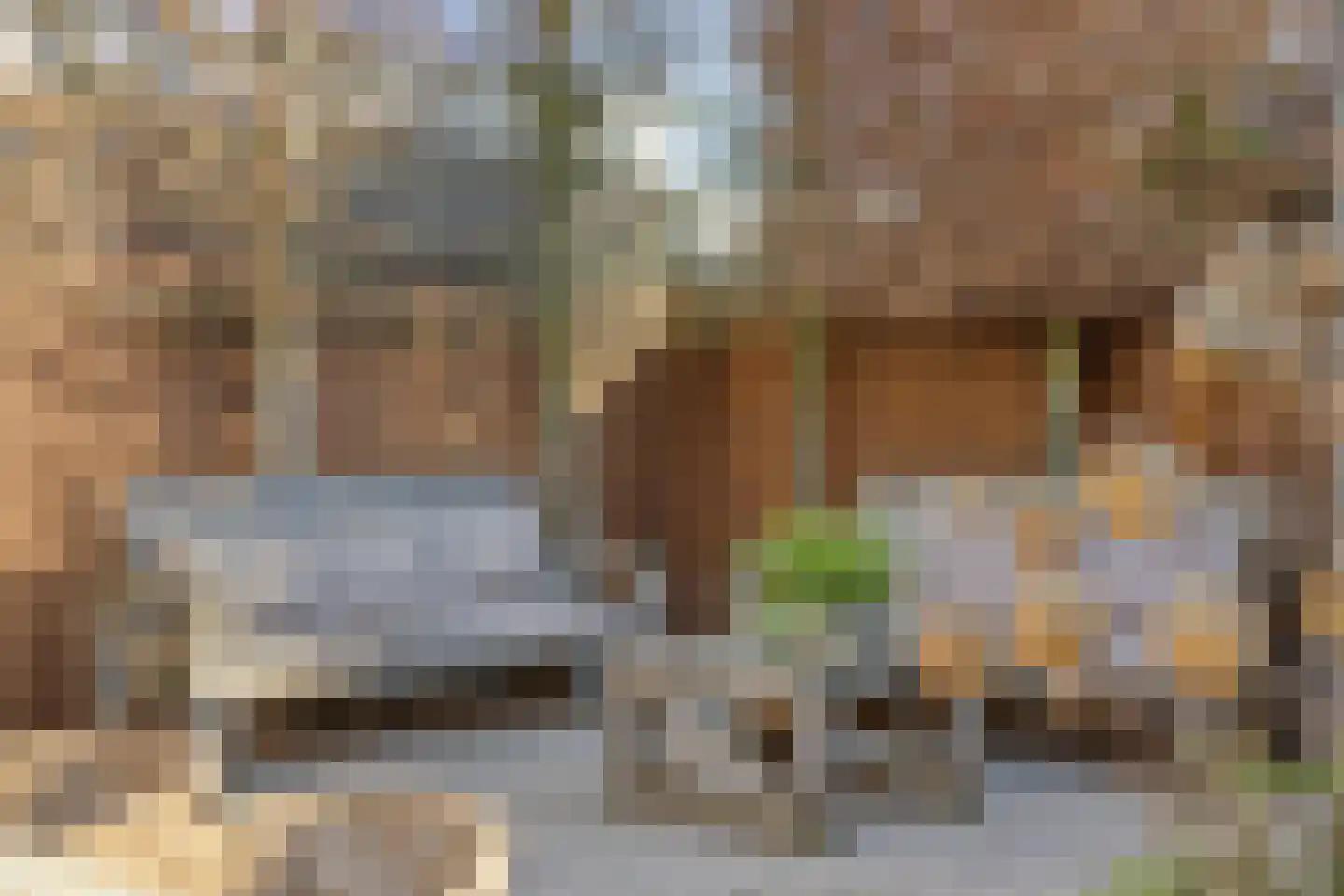 Kapelstraat 3 Geffen thumbnail 32