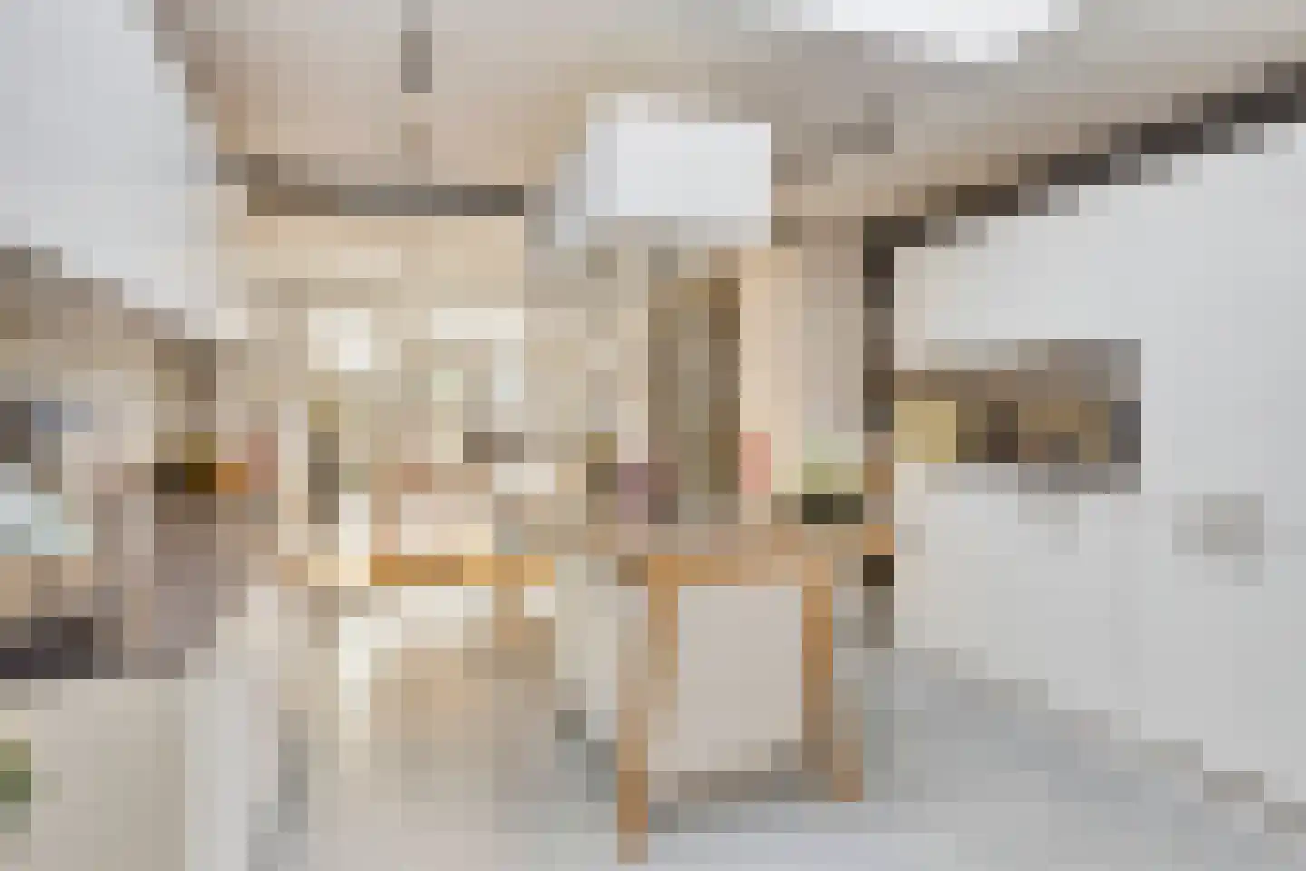 Kapelstraat 42 Heeze thumbnail 13