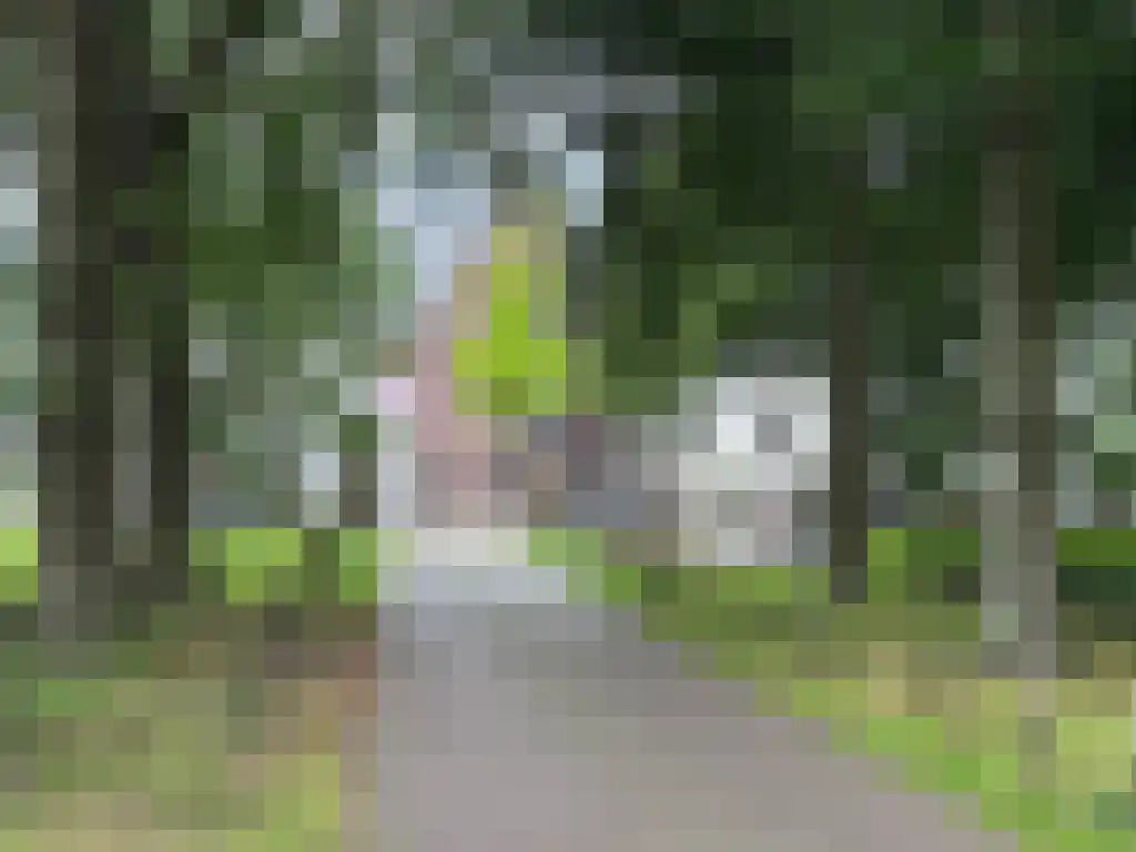 Kapelstraat 42 Heeze thumbnail 40