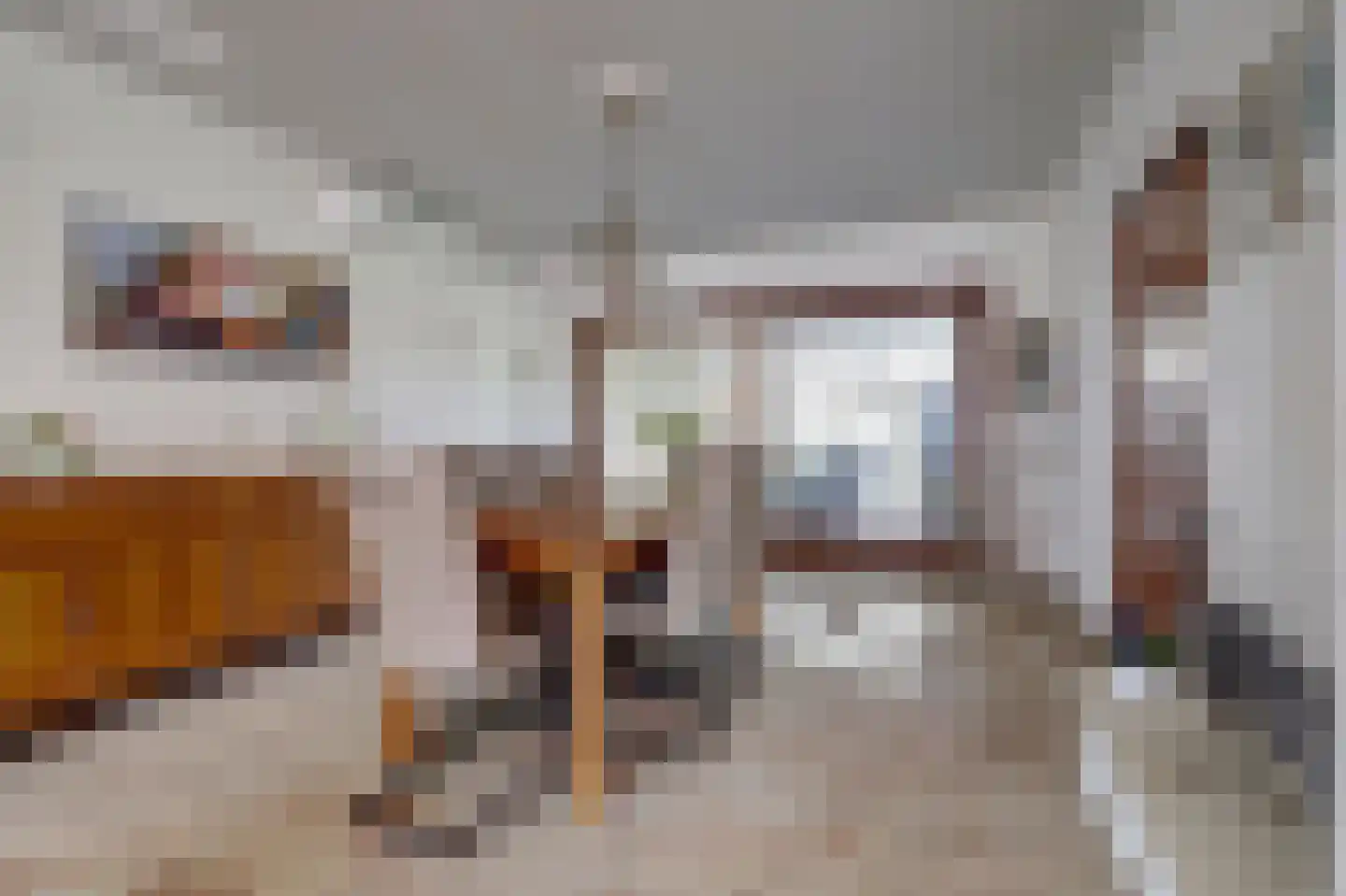 Kapelstraat 6 A Lomm thumbnail 12