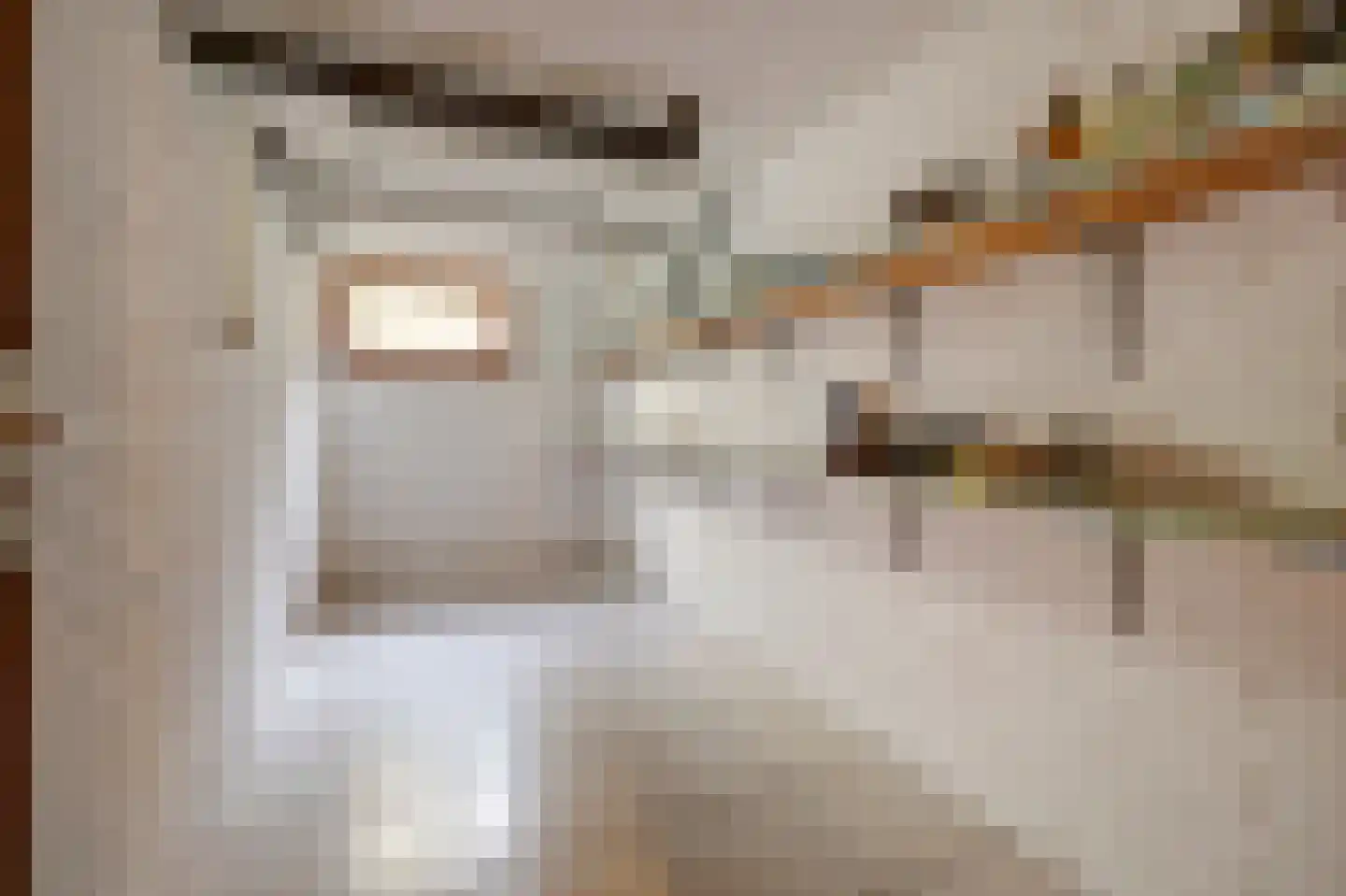 Kapelstraat 6 A Lomm thumbnail 17