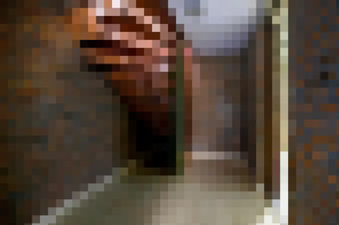 Kapelstraat 6 A Lomm thumbnail 20