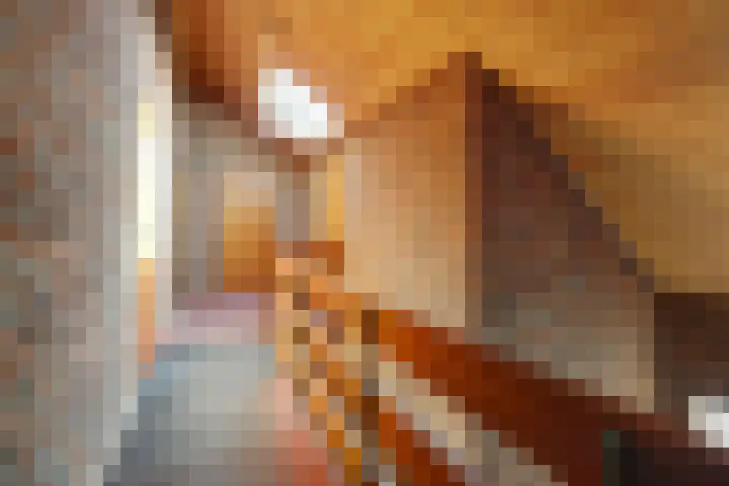 Kapelstraat 6 A Lomm thumbnail 32