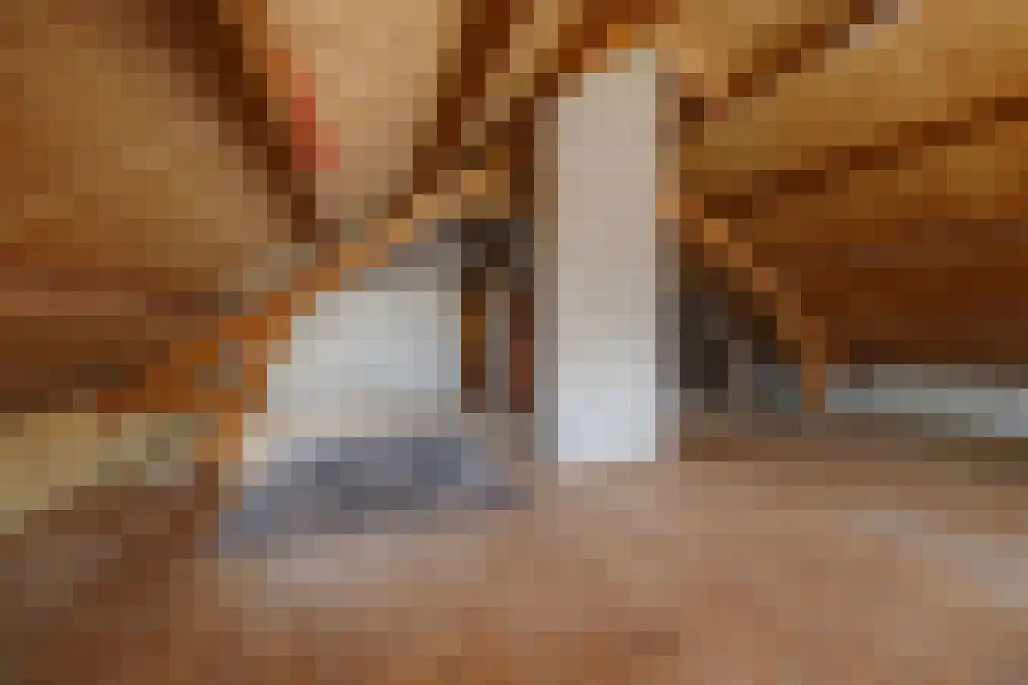 Kapelstraat 6 A Lomm thumbnail 36
