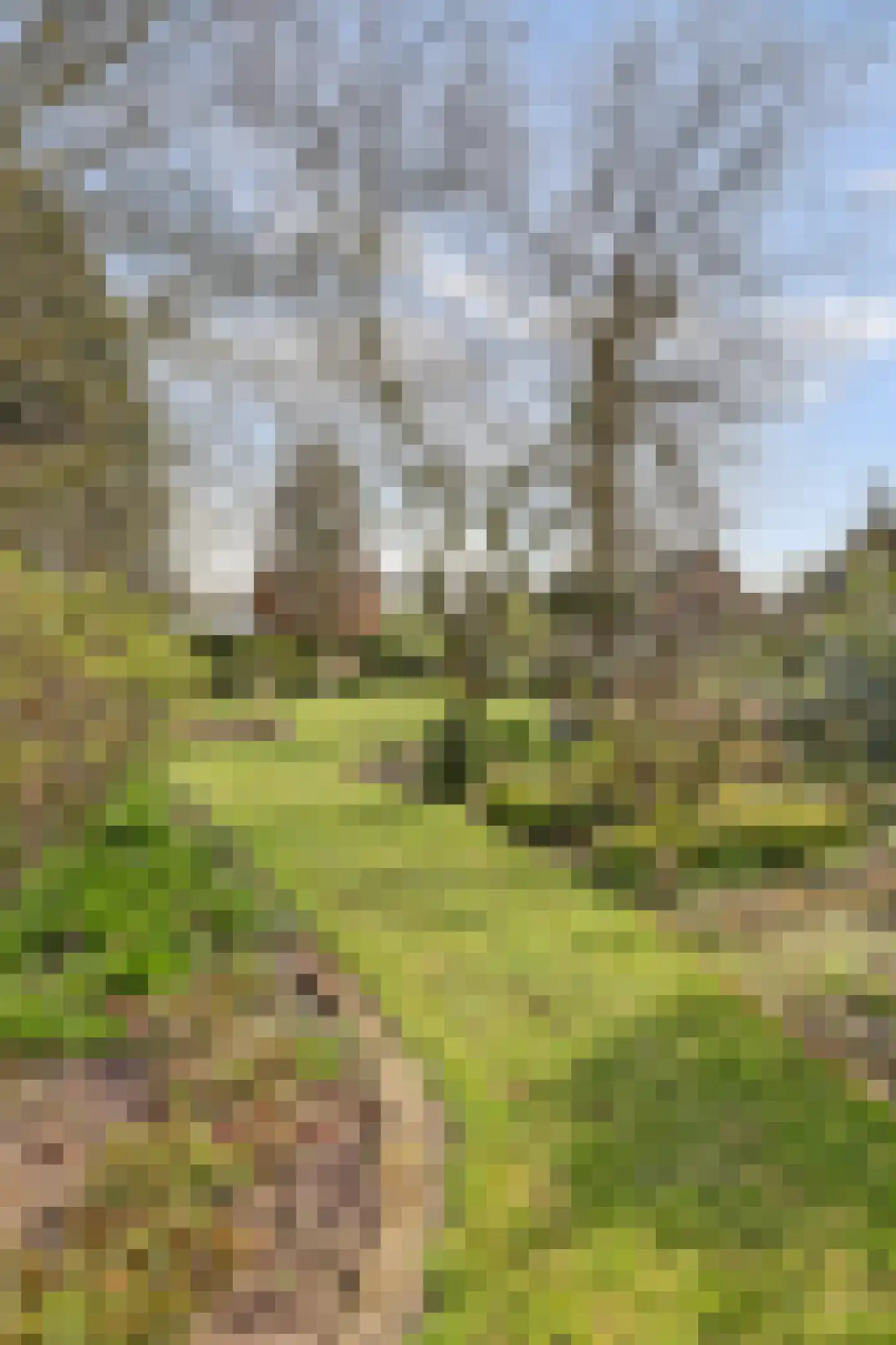 Kapelstraat 6 A Lomm thumbnail 53