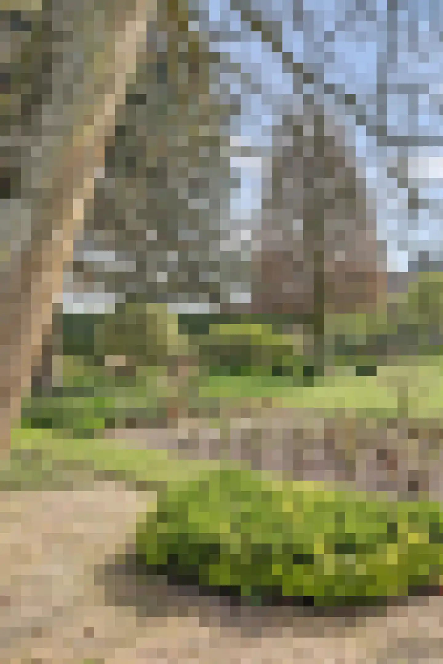 Kapelstraat 6 A Lomm thumbnail 55