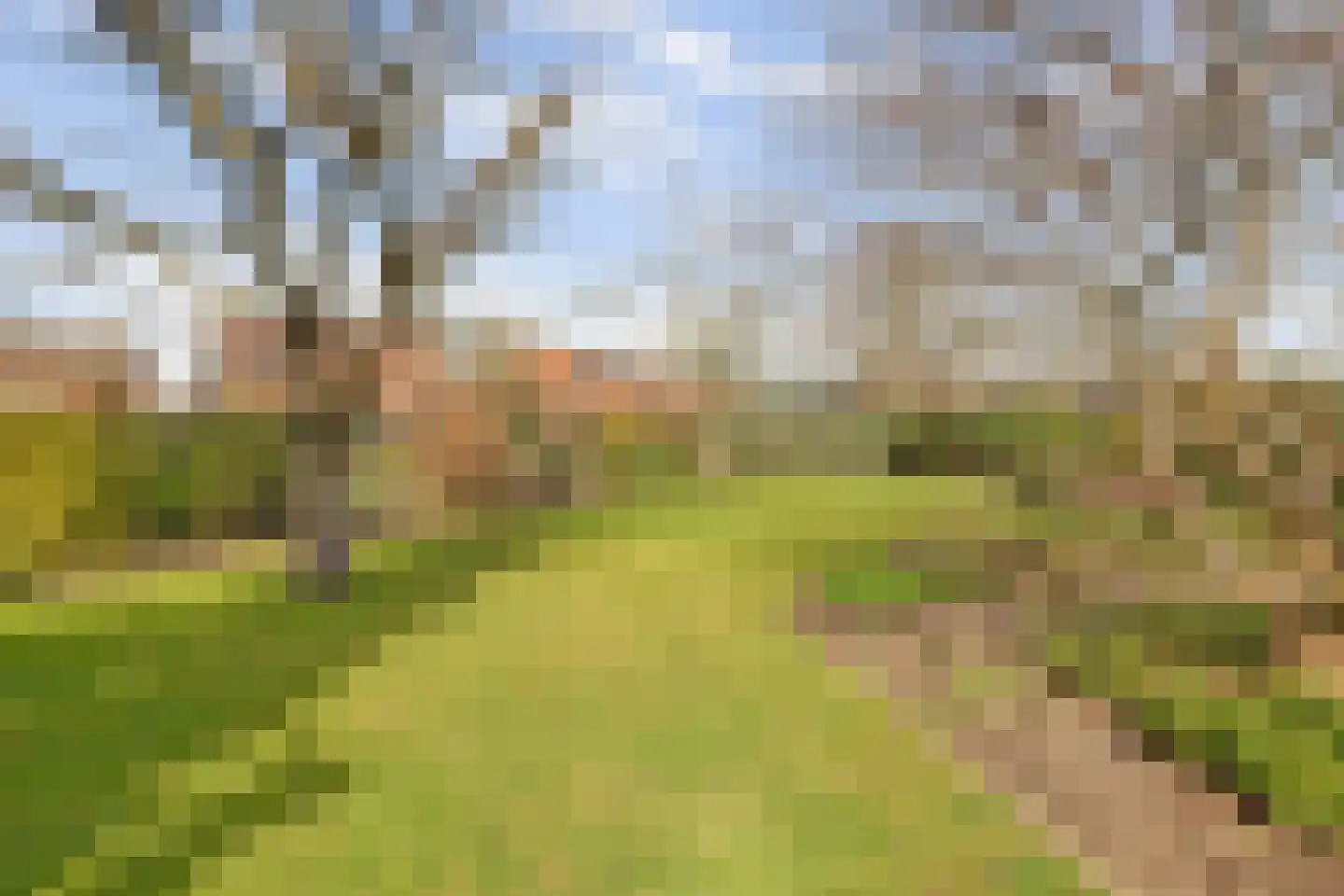 Kapelstraat 6 A Lomm thumbnail 60