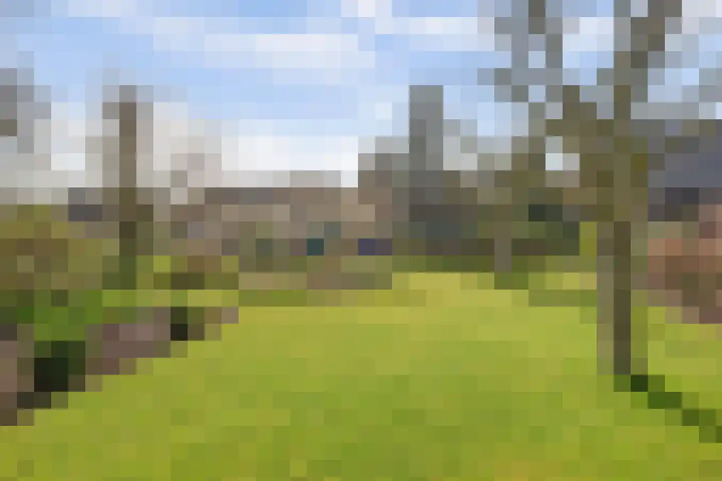 Kapelstraat 6 A Lomm thumbnail 62