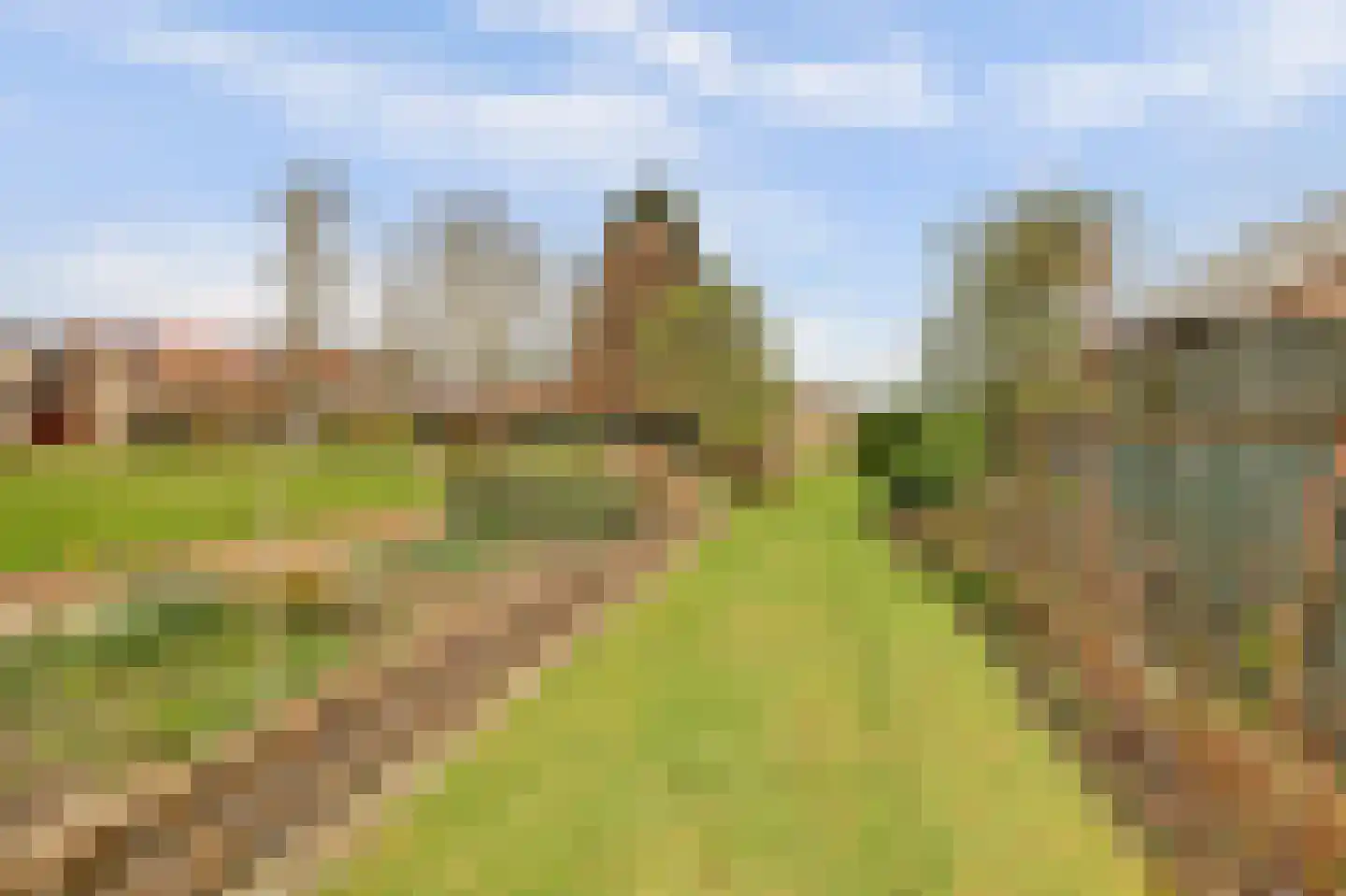Kapelstraat 6 A Lomm thumbnail 65