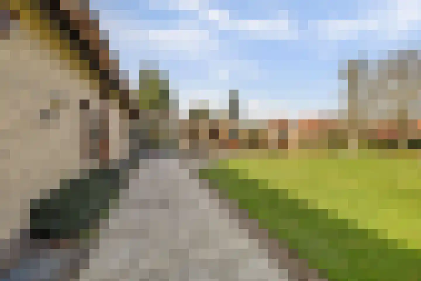 Kapelstraat 6 A Lomm thumbnail 69