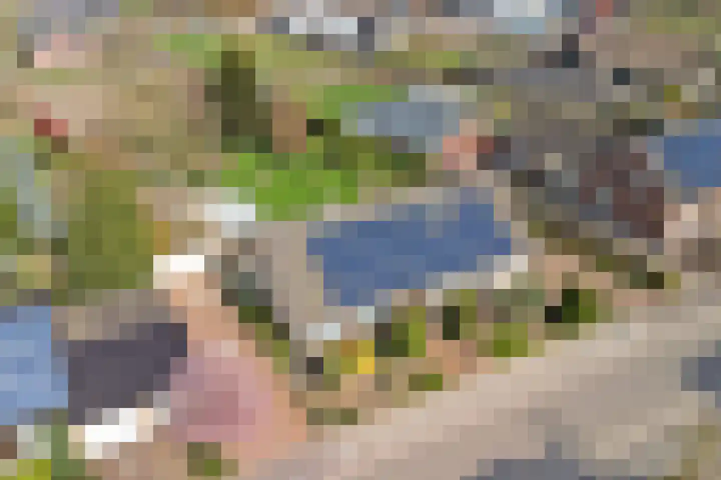 Kapelstraat 6 A Lomm thumbnail 77