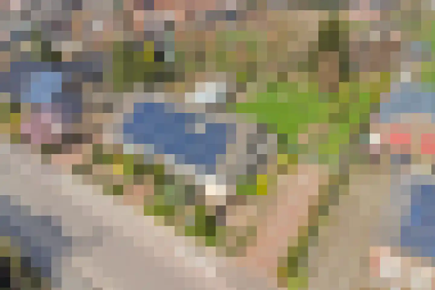 Kapelstraat 6 A Lomm thumbnail 78