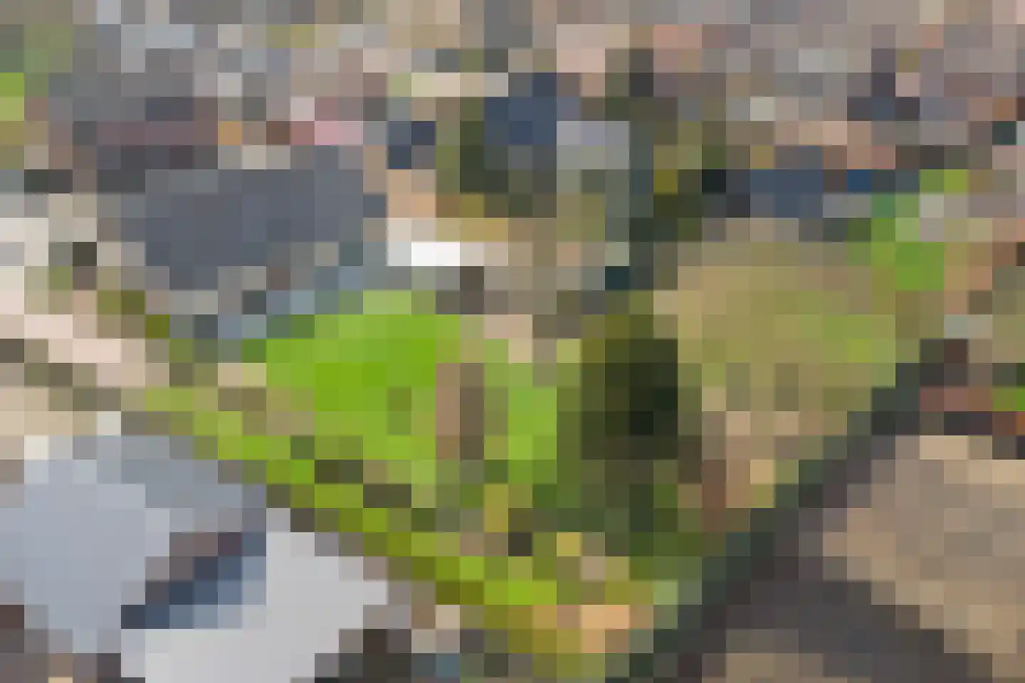 Kapelstraat 6 A Lomm thumbnail 79