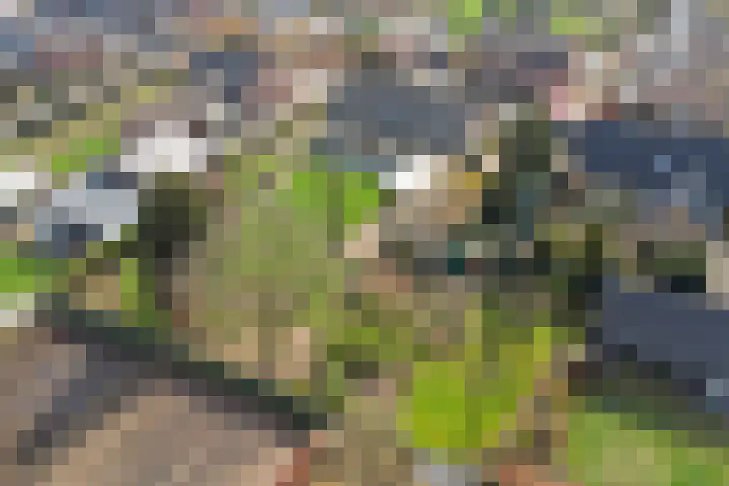 Kapelstraat 6 A Lomm thumbnail 80