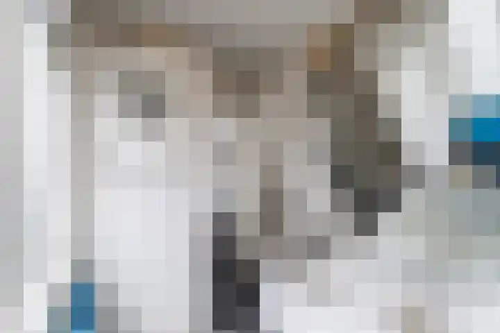 Kapelstraat 6 Heeze thumbnail 27