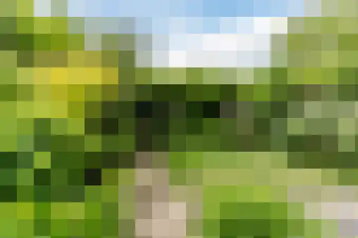 Kapelstraat 6 Heeze thumbnail 36