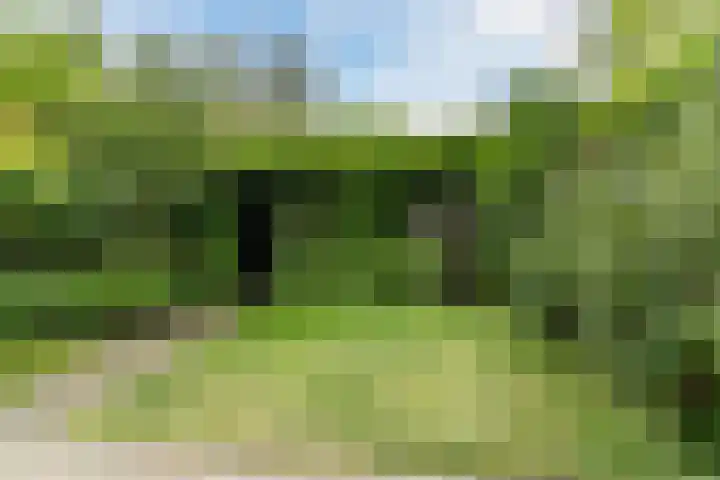 Kapelstraat 6 Heeze thumbnail 37