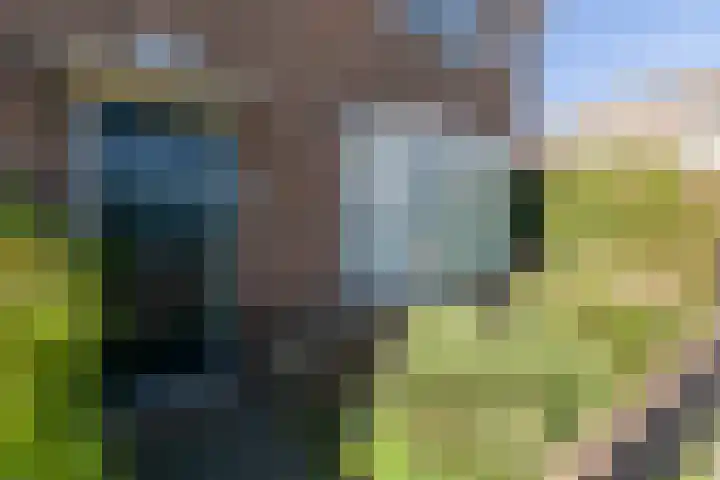 Kapelstraat 7 Sneek thumbnail 45